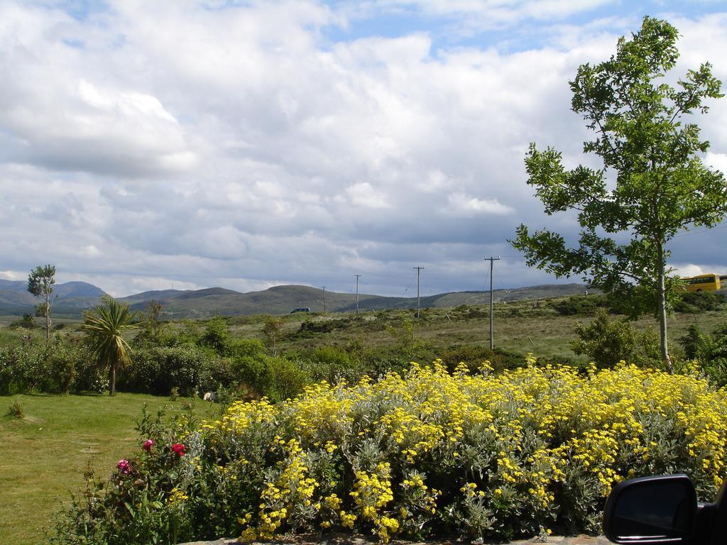 Ben Breen House B&B คลิฟเดน ภายนอก รูปภาพ