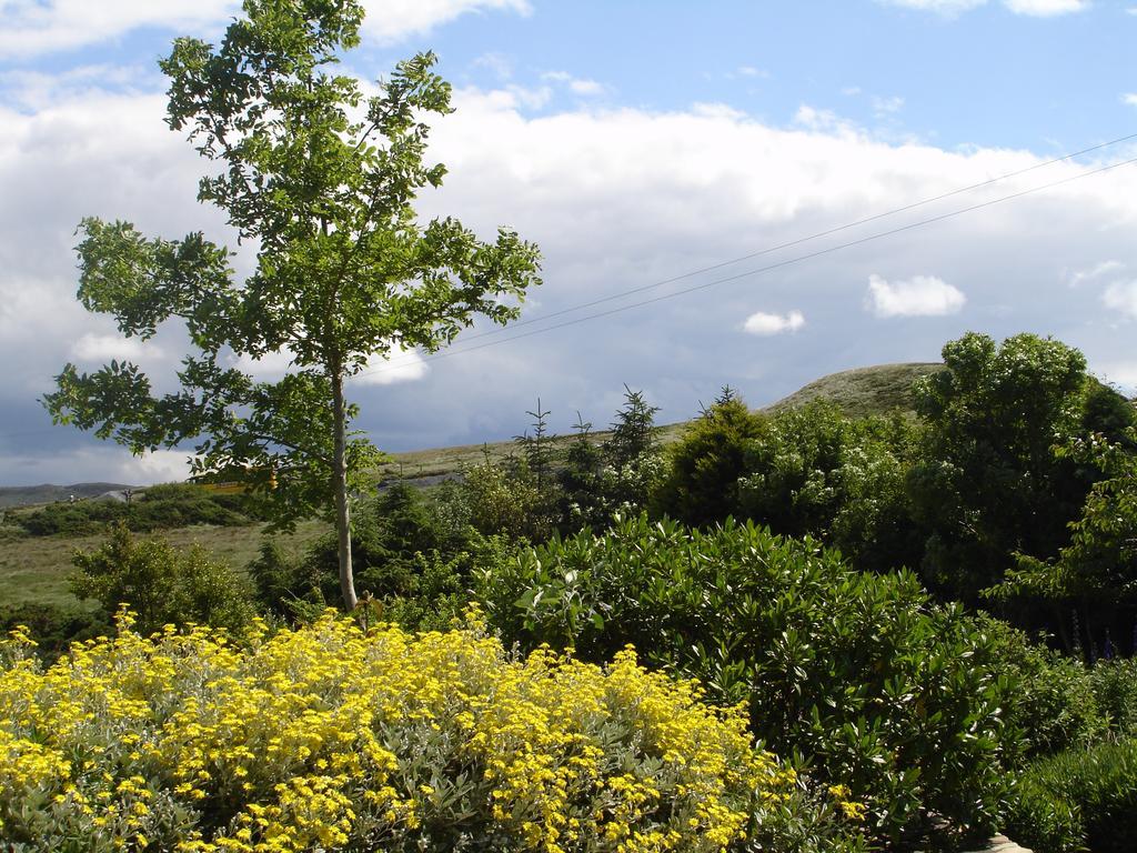 Ben Breen House B&B คลิฟเดน ภายนอก รูปภาพ